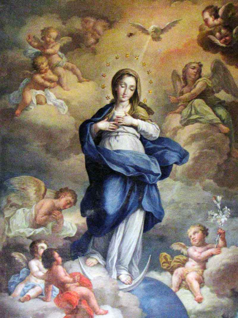 Resultado de imagem para immacolata concezione